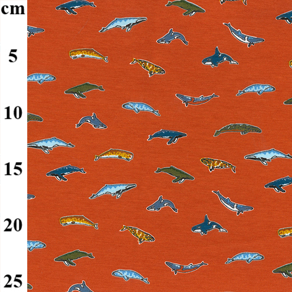 Whale deals jersey fabric